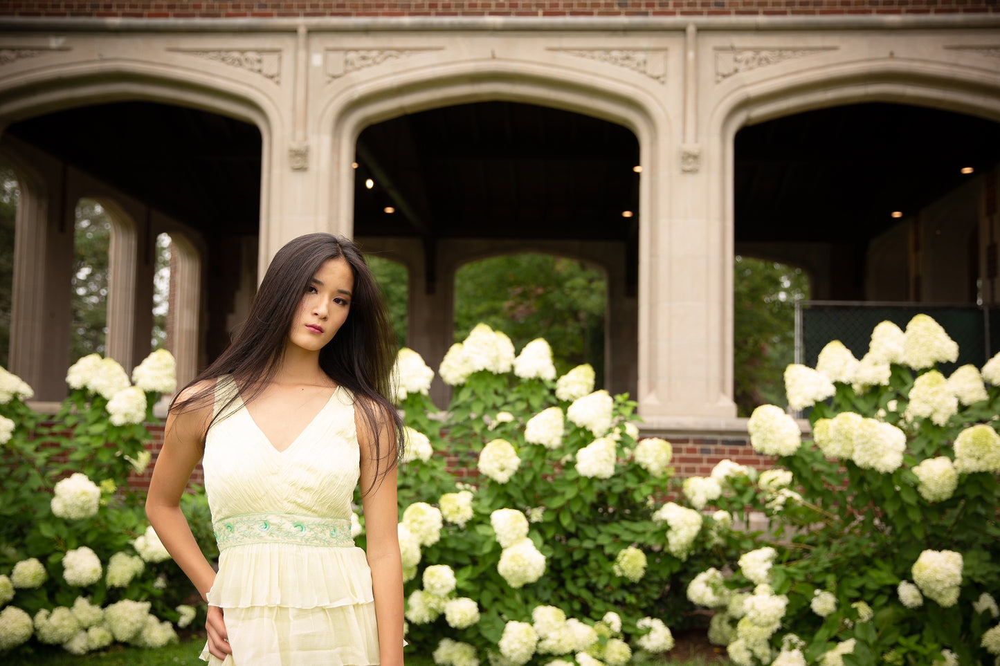 Tea Green Mid-length Tiered Dress with Ruched bodice and embroidered band